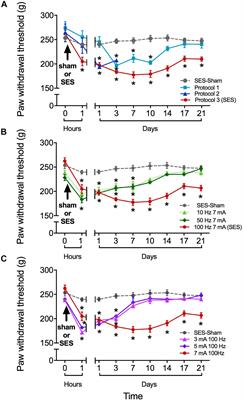 Burst-Like Subcutaneous Electrical Stimulation Induces BDNF-Mediated, Cyclotraxin B-Sensitive Central Sensitization in Rat Spinal Cord